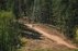 Forest Trail 56. Merkinė – Nemunaitis.