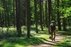 Forest Trail 60. Birštonas – Alksniakiemis.