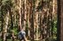 Forest Trail 60. Birštonas – Alksniakiemis.
