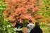 Dubrava arboretum