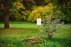 Dubrava arboretum