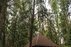 Dubrava Reserve Area