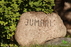 Ūkis „Jumari“