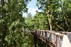 The Treetop Walking Path