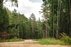 Forest Trail 59. Panemunis – Birštonas.