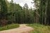 Forest Trail 59. Panemunis – Birštonas.