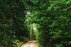 Forest Trail 59. Panemunis – Birštonas.