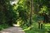 Forest Trail 59. Panemunis – Birštonas.
