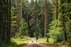 Forest Trail 59. Panemunis – Birštonas.
