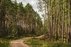 Forest Trail 59. Panemunis – Birštonas.