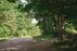 Forest Trail 70. Kaulakiai – Šiluva.