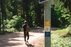 Forest Trail 70. Kaulakiai – Šiluva.