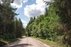 Forest Trail 70. Kaulakiai – Šiluva.