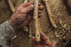 The craft of making musical instruments: musicians who have become artisans