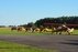 Pociūnai Airfield