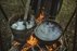 “Dyeing of woollen yarns with plants”