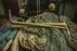 “Dyeing of woollen yarns with plants”