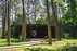 Forest Trail 60. Birštonas – Alksniakiemis.