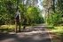 Forest Trail 60. Birštonas – Alksniakiemis.