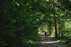 Forest Trail 60. Birštonas – Alksniakiemis.