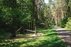 Forest Trail 60. Birštonas – Alksniakiemis.