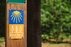 Forest Trail 60. Birštonas – Alksniakiemis.